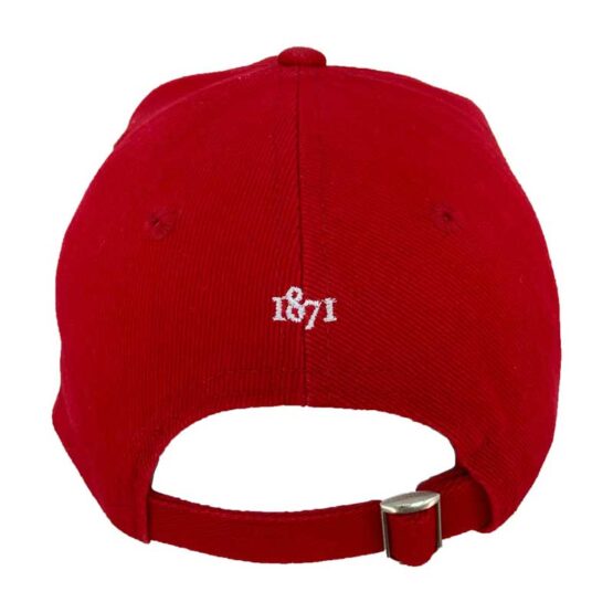 BRITISH AND IRISH LIONS RUGBY CAP – Bild 3