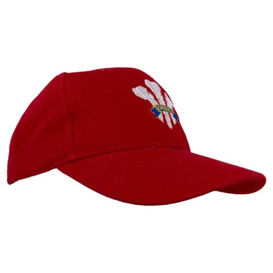 WALES RUGBY CAP – Bild 2