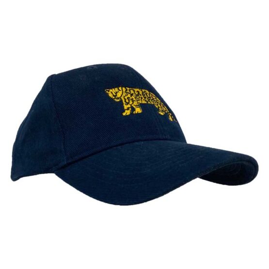 Argentina Rugby Cap – Bild 2