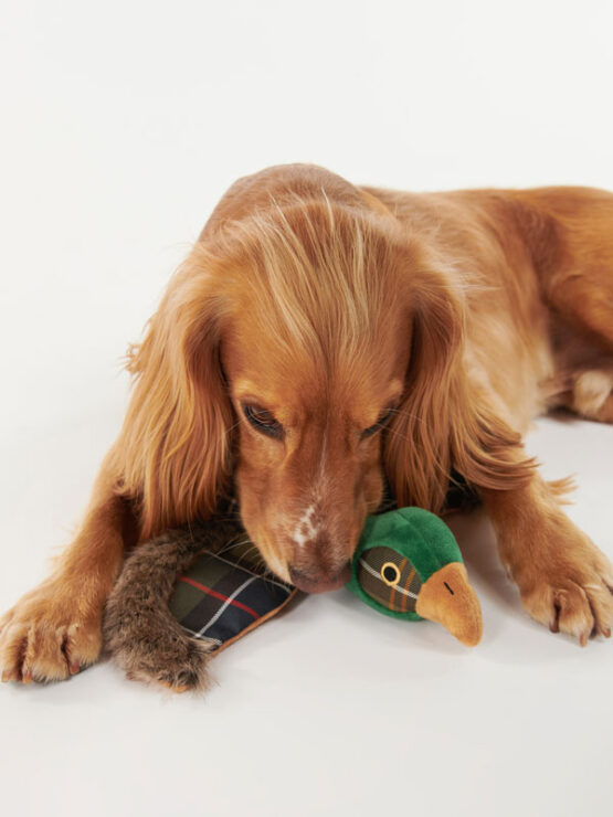 Barbour Fasan Hundespielzeug – Bild 3