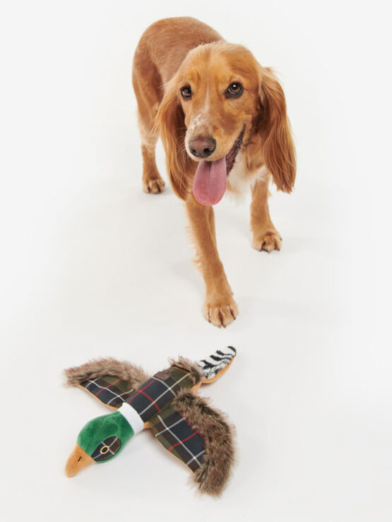 Barbour Fasan Hundespielzeug