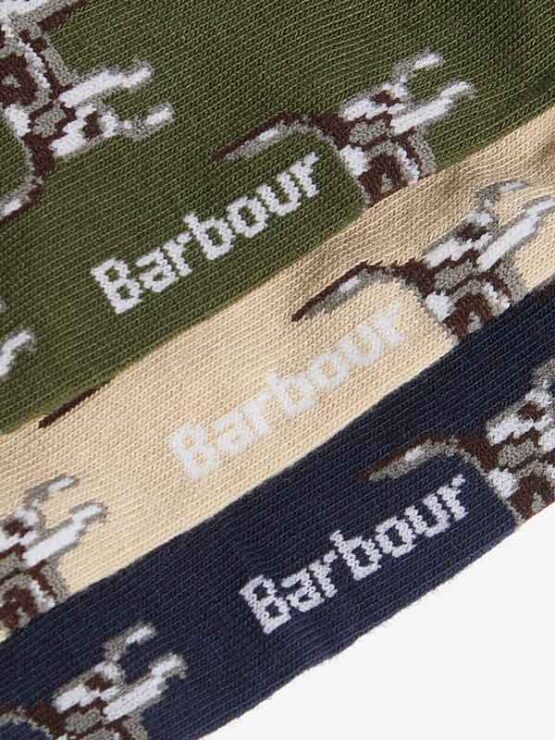 Barbour Pointer Hundesocken in Geschenkbox Forest Mix – Bild 2