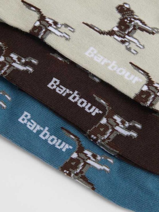 Barbour Pointer Hundesocken Geschenkbox Bluestone – Bild 2