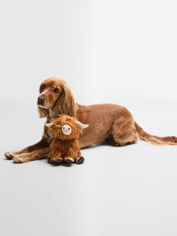 Barbour_Dog_Highland_Cow_Toy_