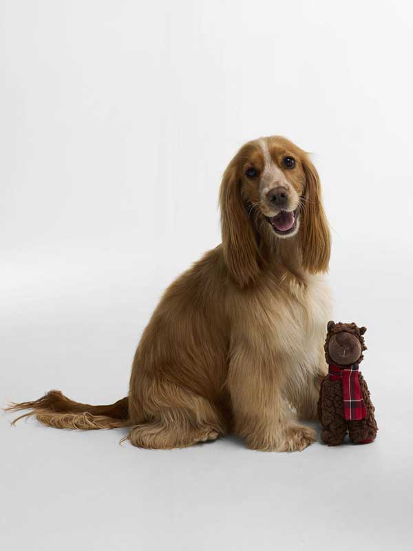 Barbour_Dog_Lama_Toy_6
